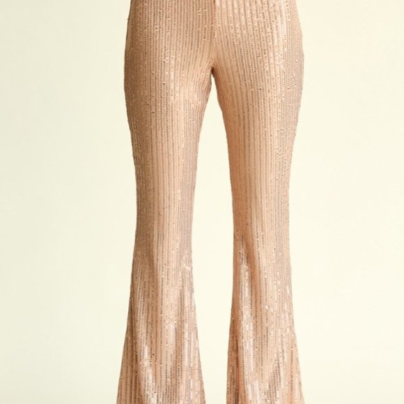 Sequin Pants Champagne Color Fully lined with side zipper Sizes S, M, L - Picture 2 of 4